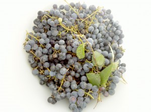 Concord Grapes